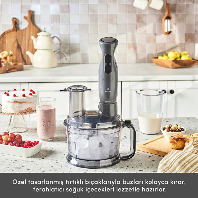 Emsan Pro Multimax 6 in 1 Çok Amaçlı Mutfak Robotu Space Gray 2000 W - 4